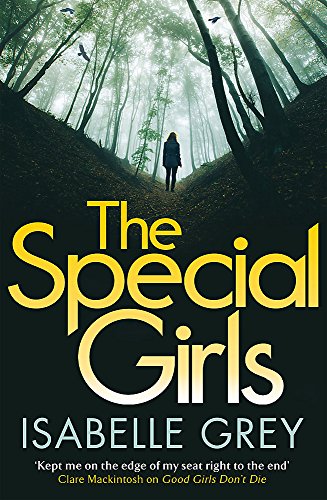 The Special Girls: A devastating crime thriller with a heart-wrenching twist (DI Grace Fisher)
