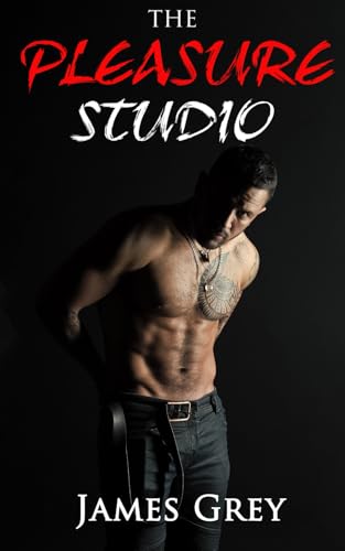 The Pleasure Studio (The Laura Series, Band 3)