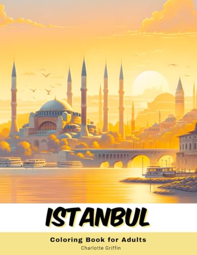 Istanbul Coloring Book for Adults: 40 Pages of Istanbul landmarks von Independently published