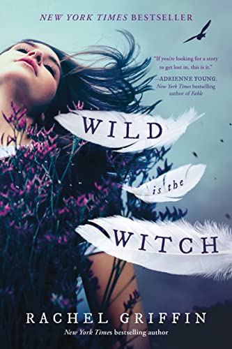 Wild Is the Witch von Sourcebooks Fire