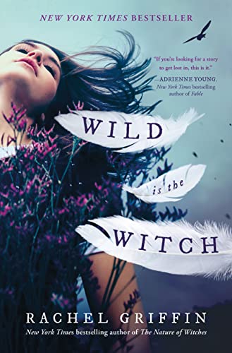 Wild is the Witch von Sourcebooks Explore