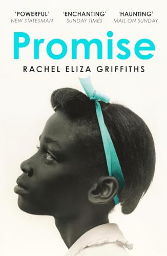 Promise von Hodder And Stoughton Ltd.