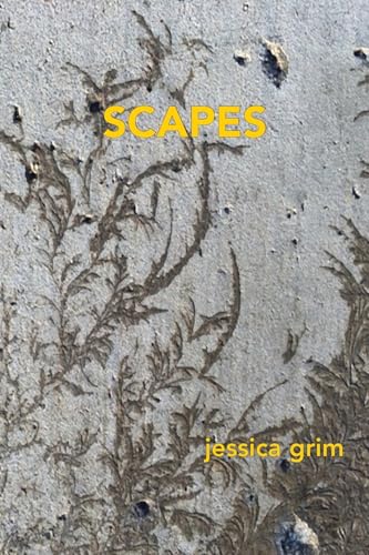 Scapes von Spuyten Duyvil Publishing