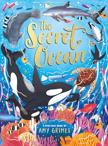 The Secret Ocean von Scholastic UK