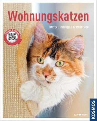 Wohnungskatzen: halten, pflegen, beschäftigen