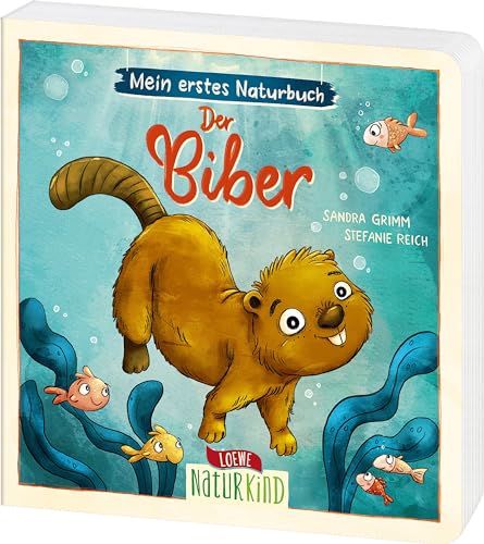 Mein erstes Naturbuch - Der Biber: Liebevolles Pappbilderbuch über die heimische Tierwelt und ihre Lebensräume ab 2 Jahren (Naturkind) von Loewe