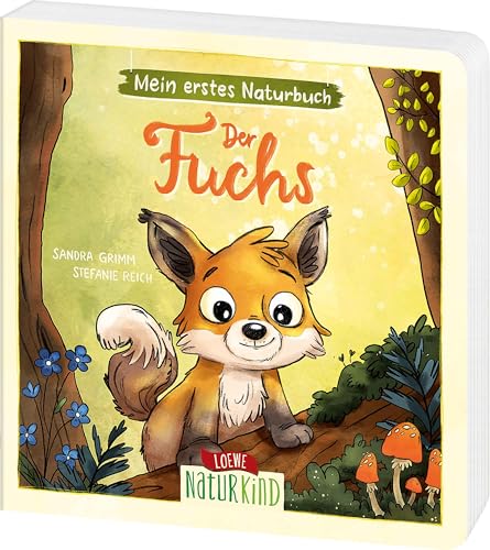 Mein erstes Naturbuch - Der Fuchs: Liebevolles Pappbilderbuch über die heimische Tierwelt und ihre Lebensräume ab 2 Jahren (Naturkind) von Loewe
