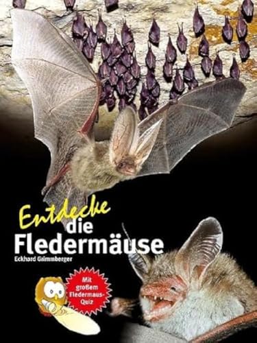 Entdecke die Fledermäuse (Entdecke - Die Reihe mit der Eule: Kindersachbuchreihe)