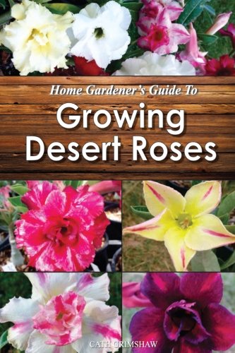 Home Gardener's Guide to Growing Desert Roses