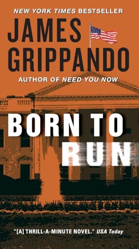 Born to Run (Jack Swyteck Novel, 8, Band 8)