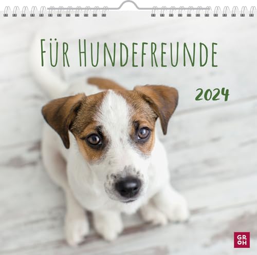 Wandkalender 2024: Für Hundefreunde: Dekorativer Kalender zum Aufhängen mit Monatskalendarium für Hundebesitzer von Groh Verlag