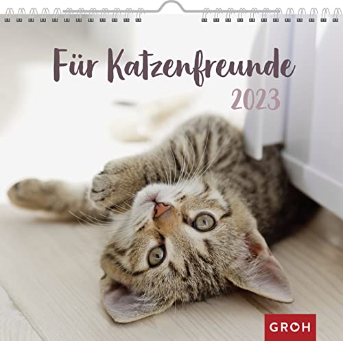 Für Katzenfreunde 2023: Wandkalender mit Monatskalendarium von Groh Verlag