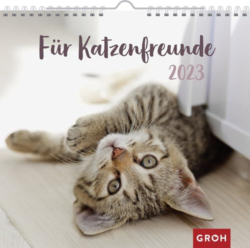 Für Katzenfreunde 2023: Wandkalender mit Monatskalendarium