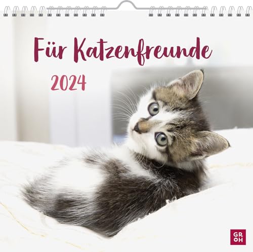 Wandkalender 2024: Für Katzenfreunde: Dekorativer Kalender zum Aufhängen mit Monatskalendarium für Katzenbesitzer von Groh Verlag