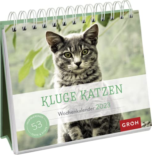 Kluge Katzen 2023: Aufstell-Kalender mit Wochenkalendarium