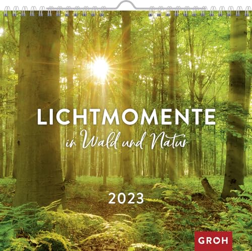 Lichtmomente in Wald und Natur 2023: Wandkalender mit Monatskalendarium von Groh Verlag