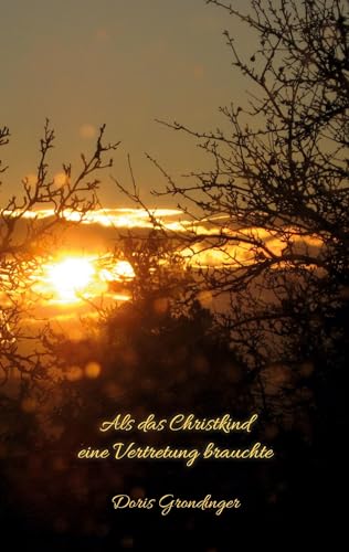 Als das Christkind eine Vertretung brauchte von Rediroma-Verlag