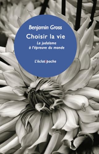 CHOISIR LA VIE - LE JUDAISME A L'EPREUVE DU MONDE: Le judaïsme à l'épreuve du monde von ECLAT