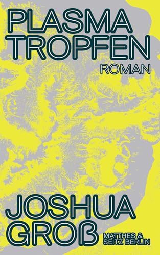 Plasmatropfen: Roman von Matthes & Seitz Verlag