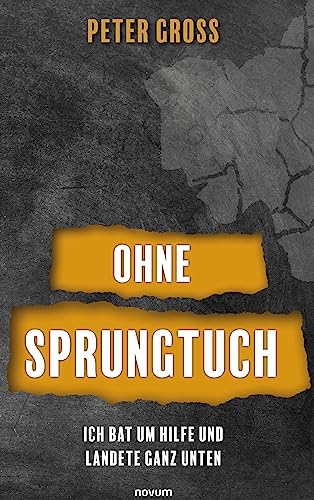 Ohne Sprungtuch: Ich bat um Hilfe und landete ganz unten von novum Verlag