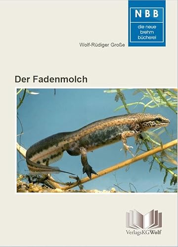 Der Fadenmolch: Lissotriton helveticus (Die Neue Brehm-Bücherei) von Wolf, VerlagsKG