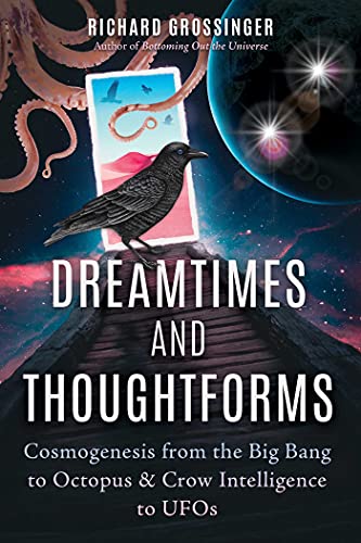 Dreamtimes and Thoughtforms: Cosmogenesis from the Big Bang to Octopus and Crow Intelligence to UFOs von Park Street Press