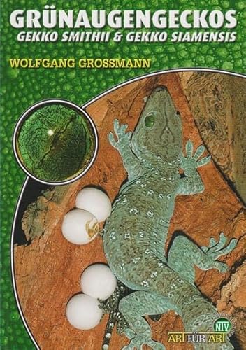 Grünaugengeckos: Gekko smithii & Gekko siamensis (Buchreihe Art für Art Terraristik)
