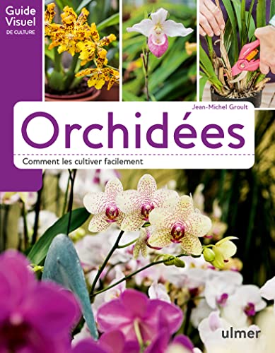 Orchidées - Comment les cultiver facilement von Ulmer