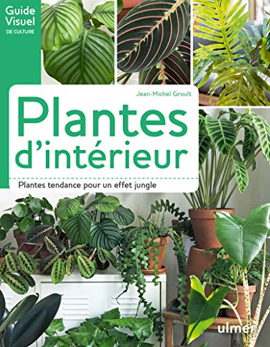 Plantes d'intérieur: Plantes tendance pour un effet jungle