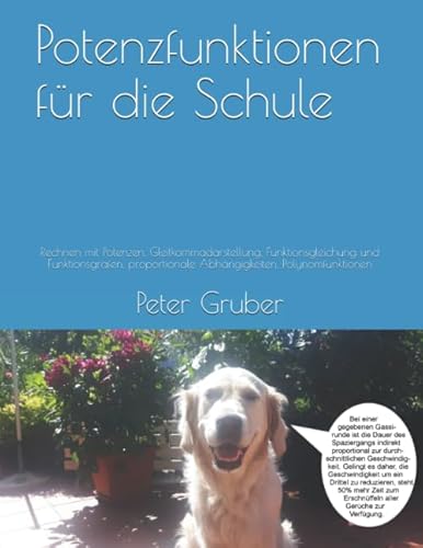 Potenzfunktionen für die Schule: Rechnen mit Potenzen, Gleitkommadarstellung, Funktionsgleichung und Funktionsgrafen, proportionale Abhängigkeiten, Polynomfunktionen von Independently published