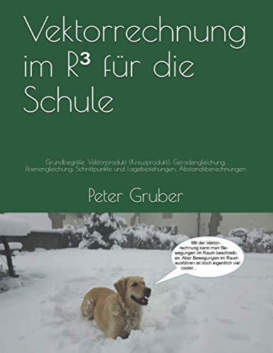 Vektorrechnung im R³ für die Schule: Grundbegriffe, Vektorprodukt (Kreuzprodukt), Geradengleichung, Ebenengleichung, Schnittpunkte und Lagebeziehungen, Abstandsberechnungen von Independently published