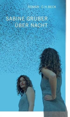 Über Nacht: Roman
