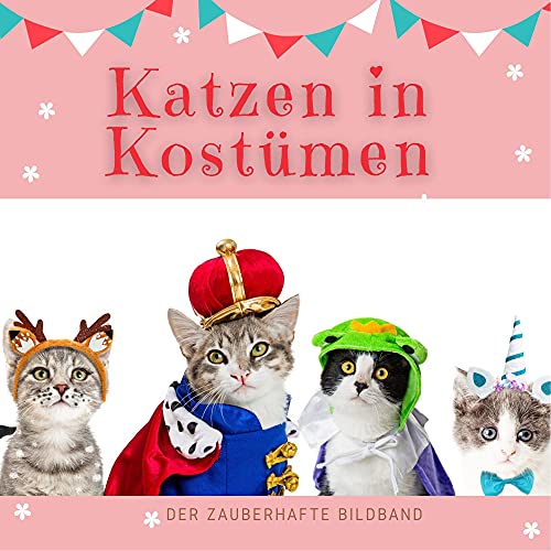 Katzen in Kostümen: Der zauberhafte Bildband Katzen in Kostümen: Der zauberhafte Bildband