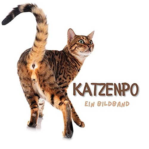 Katzenpo: Ein Bildband Katzenpo: Ein Bildband