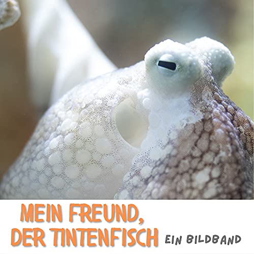 Mein Freund, der Tintenfisch: Ein Bildband Mein Freund, der Tintenfisch: Ein Bildband