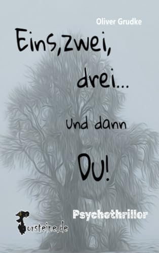 Eins, zwei, drei....und dann Du!: Psychothriller von Torsteine.de