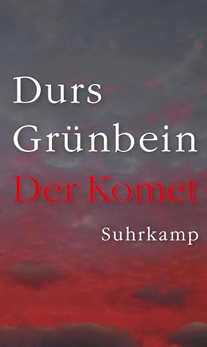 Der Komet: Der Lebensweg einer einfachen Frau bis zum Untergang Dresdens