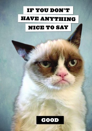Grumpy Cat Flexi Journal: If You Don't Have Anything Nice to Say, Good