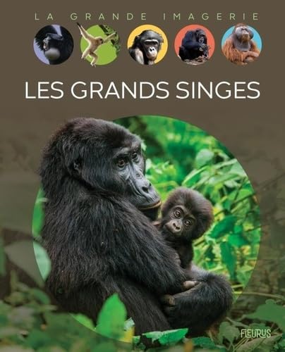 Les grands singes von FLEURUS