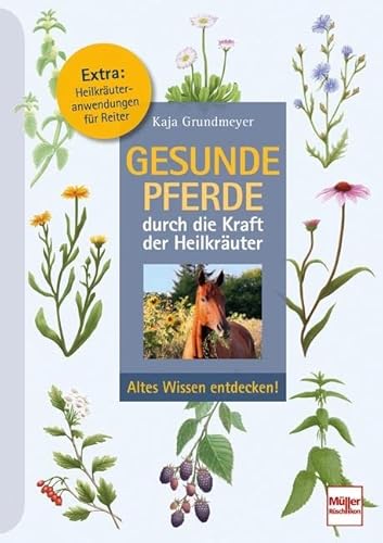 Gesunde Pferde durch die Kraft der Heilkräuter: Altes Wissen entdecken! von Müller Rüschlikon