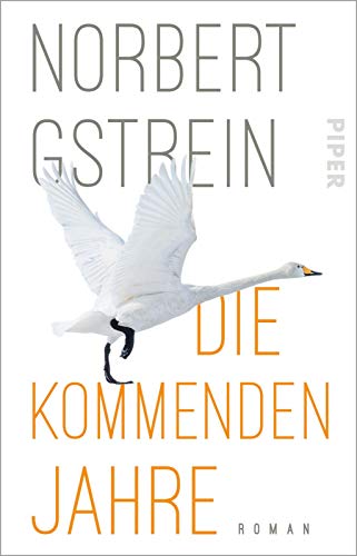 Die kommenden Jahre: Roman | Gesellschaftsroman über die Suche nach uns selbst