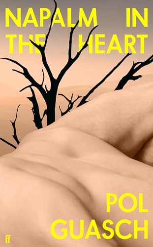 Napalm in the Heart: 'Innovative and original' COLM TÓIBÍN von Faber & Faber