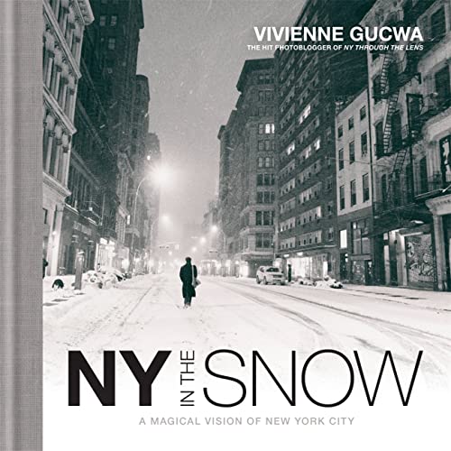 NY In The Snow: A Magical Vision of New York City