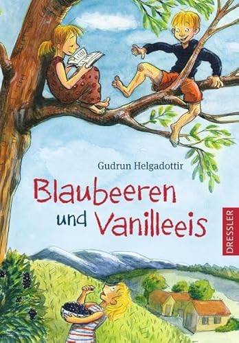 Blaubeeren und Vanilleeis