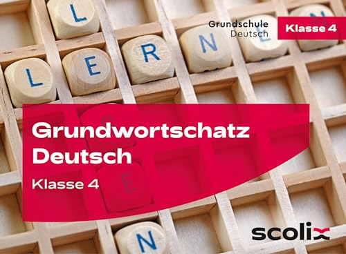 Grundwortschatz Deutsch Klasse 4: Sinnverstehend lesen und rechtschreiben - Kartenset