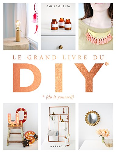 Le grand livre des DIY: la bible de toutes les techniques von MARABOUT