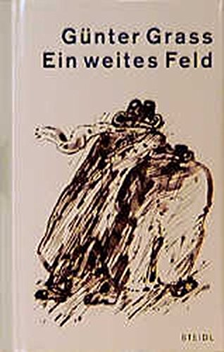 Ein weites Feld: Roman von Steidl