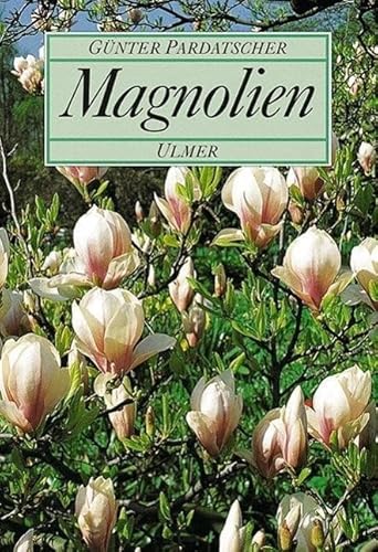 Magnolien