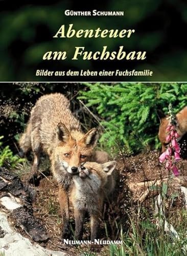 Abenteuer am Fuchsbau: Bilder aus dem Leben einer Fuchsfamilie