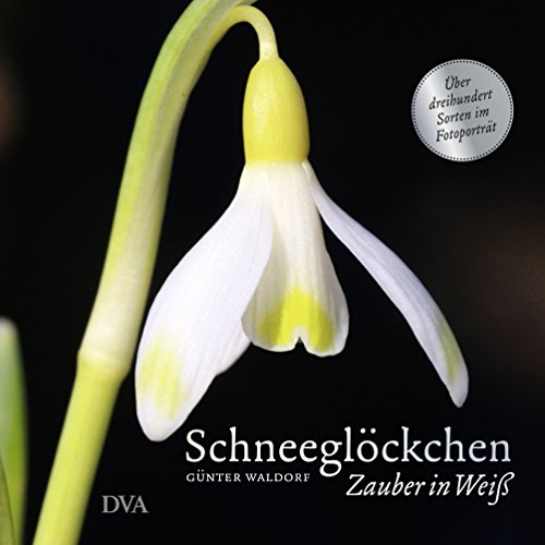 Schneeglöckchen: Zauber in Weiß. - Über dreihundert Sorten im Fotoporträt - von DVA Dt.Verlags-Anstalt